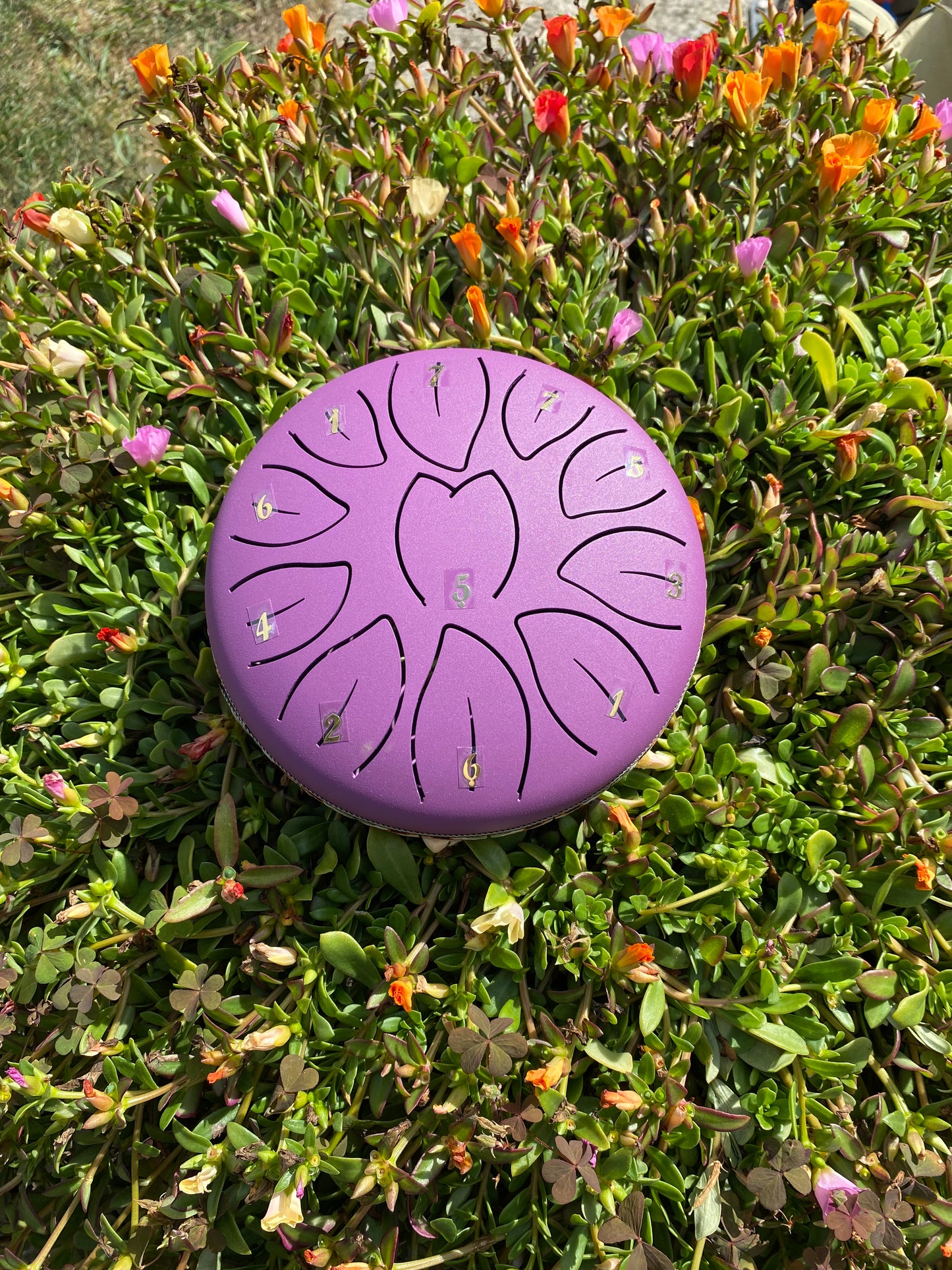 6-Inch 11-Tone Rain Drum Purple