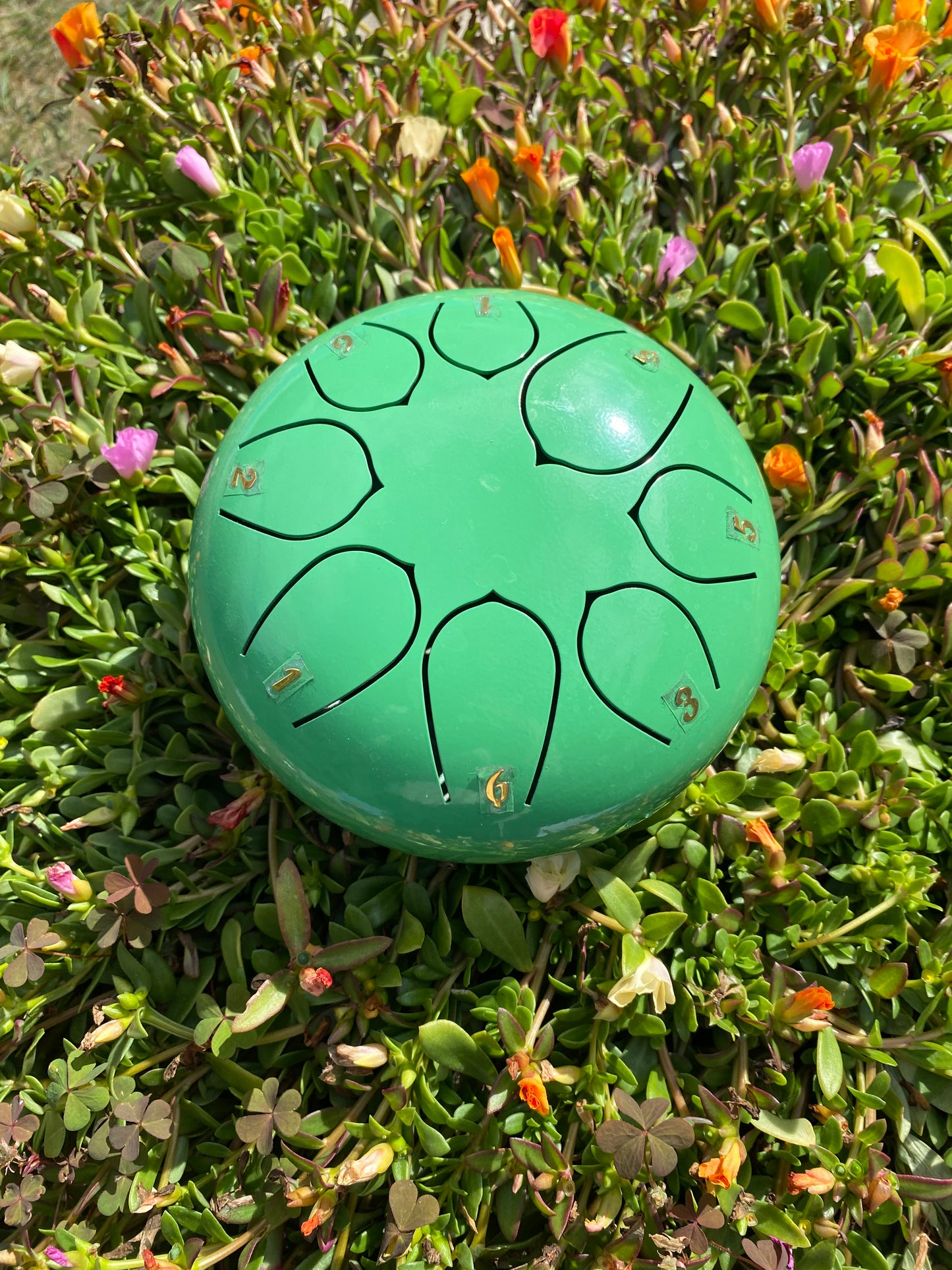 6-Inch 8-Tone Rain Drum Green